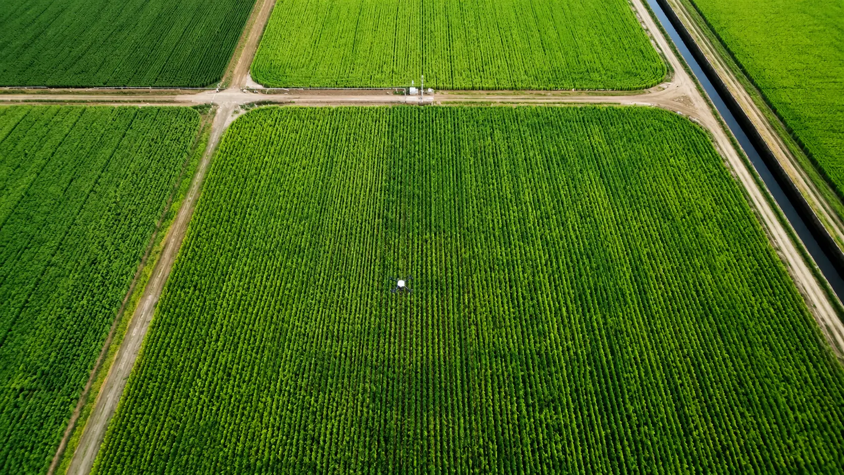 Precision agriculture drone surveying geometric green crop fields from above